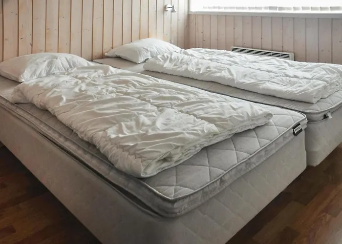 Askemose Sydals Xi *